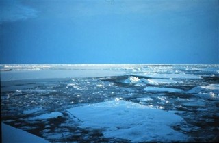 China Dips Toes in Arctic Waters