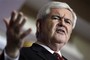 Why Newt Soared But Could Sour