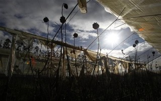 Is the Fight Against Global Warming Hopeless?