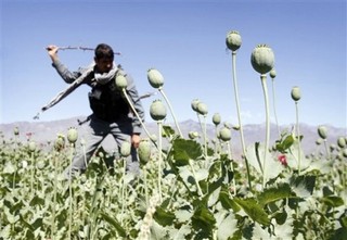 The Failing War on Drugs... in Afghanistan