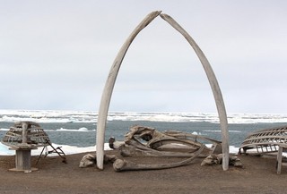 Race for Arctic Mostly Rhetoric