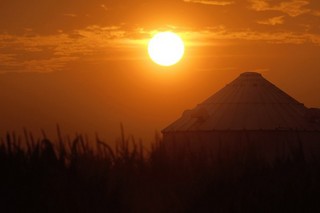 U.S. Drought Will Hit Global Food Prices