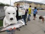 International Cooperation in the Arctic
