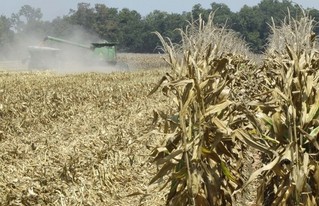 Why 2013 Will Be a Year of Crisis