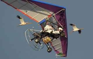 Putin Flies with Birds, Jumps the Shark