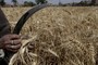 Stop Lavishing Money on Rich Farmers Who Don't Need It