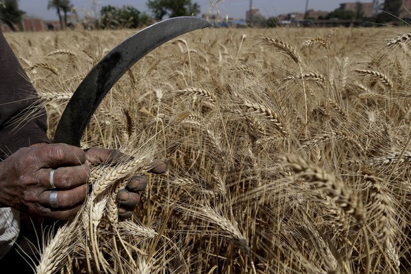 Should the World Keep Feeding Europe?
