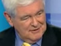 Newt Gingrich: Donald Trump 