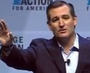 Ted Cruz: The Establishment 