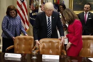 The Checks & Balances on President Trump