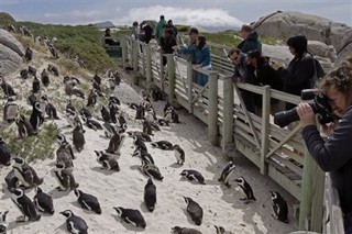 Evangelicals Gather in Cape Town