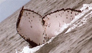 Lynd Ward's Sturm und Drang Woodcut Moralism