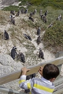 Cape Town Confab Brought Evangelicals Closer