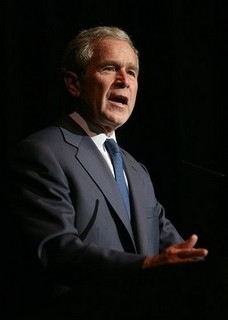 The Tea Started Brewing Under Bush