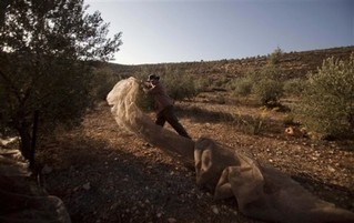 Jews and Their Historians