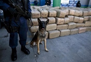 How Can I Say Dogs Don't Go to Heaven?