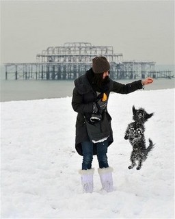 Wyoming Pastors Rescue Stranded Dog