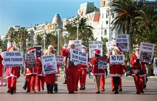 Was Christianity the Reason for Torture?