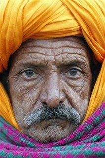 The Fluke Wisdom of Kip Dynamite