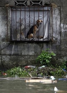 Youth With a Mission Just Turned 50