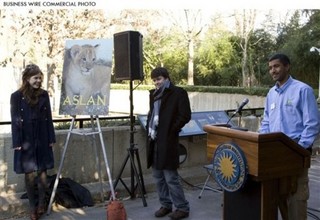 New Narnia Film Doesn't Challenge Potter