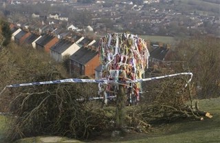 Joseph of Arimathea's Tree Vandalized