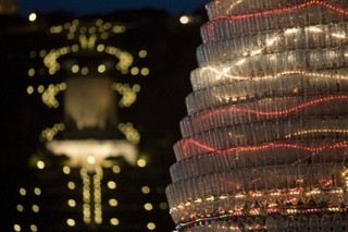 Advent in the Midst of Crisis and Upheaval