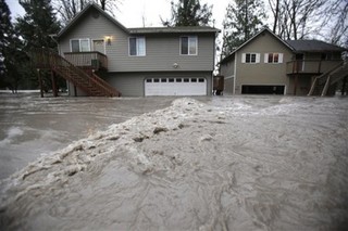 Evangelical 'Creation Care' Is on the Rise