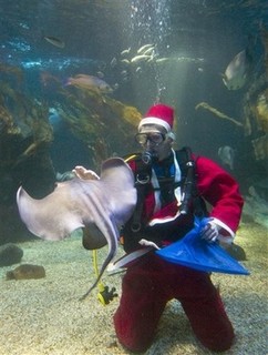 Radical Christian Group 'Executes' Santa Claus