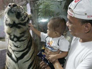 Planned Premature Births Are a Bad Idea