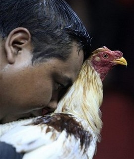 Pastor Rob Bell's Book Draws Charges of Heresy